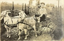 Double Goat Wagon Young Farm Boy RPPC Photo Postcard COPY picture