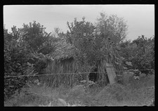Photo:Boothville Louisiana 1938 Church in Orange Growing Section FSA picture