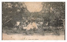 Norwell Massachusetts circa 1900s Lily Pond Farm Standard Postcard picture