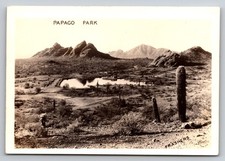 Vintage RPPC Photo Papago Park Arizona Desert Saguaro Cactus Mountains Scene picture