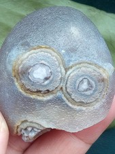 50mm Beautiful and rare Natural GoBi agate eye agate stone cute collection picture