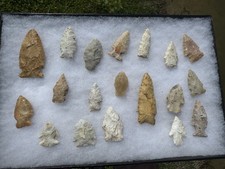 Nice Group Of Native American Arrowheads Points Artifacts picture