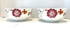 Mikasa GIA Bone China Floral Bowl Set Of 2 6