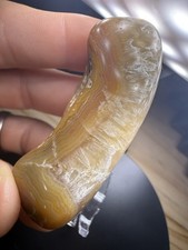 Polished Banded Agate Palm Stone 2.1 OZ Crowley’s Ridge Warm Bands/ showpiece picture