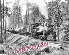Steam Logging Train Photo- Hauling Timber in Pine Forest Year 1910 picture