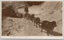 Skeena River Freighter Sled Dogs BC British Columbia E.N. Co RPPC Postcard H68 picture
