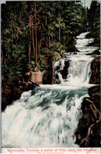 Paradise River, Washington - Washington Torrents a series of falls - c1908 picture