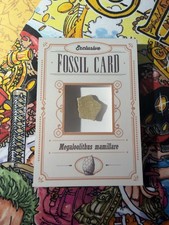 Fossil Card - Mammillary Megaloolithus - Dinosaurs Tomodachi Press picture
