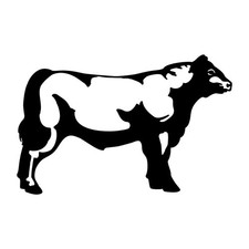 Angus Cattle Beef Cow Decal Sticker Black Die Cut Vinyl picture