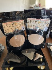 Megalodon Shark Tooth Dig Kits Fun for all ages   4 Kits Party Pack picture