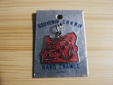 Vintage Oregon Cloisonné Hard Enamel State Charm Souvenir Map Pendant VG+ picture