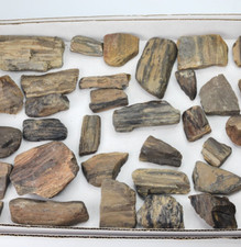 Petrified Wood 33 Piece 5.4 lb Bulk Lot - Various Unknown Locality - Wholesale picture