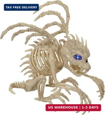 Light-Up Skeleton Gargoyle - 10