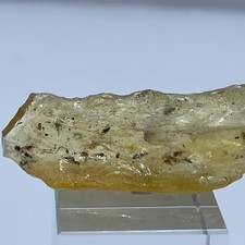 UNIQUE GROUP OF FLEAS IN BALTIC AMBER MINIATURE FROM POLAND picture