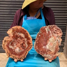 2pcs 6.86 LB Natural Petrified Wood Crystal Fossil Slice Crystal Specimen 6190 picture