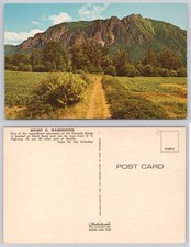 Mount Si Washington Plastichrome Postcard Cascade Range North Bend Seattle picture