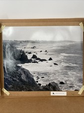 Bodega Bay Black-And-White Film Photo Print 16” X 20” picture