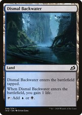 Dismal Backwater (246) picture