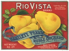 RIO VISTA, Sacramento Delta Pear, *AN ORIGINAL 1910s FRUIT CRATE LABEL* 085 picture