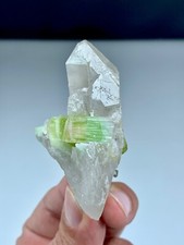72 GM Vibrant Watermelon Tourmaline Crystals  Embedded In A Lustrous Quartz picture