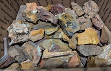 26+ lb Colorado Petrified Wood Bulk Rough – Parker Divide Med Flat Rate Box Full picture