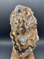 Unique “Headless Chicken” Laguna Agate Large Polished Half Incredible Banding picture