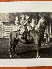 Adorable Kids On Horse RPPC Real Photo Postcard Stetsonville Wisconsin picture