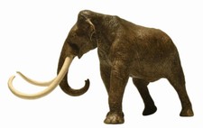 Columbian Mammoth Prehistoric Elephant Model Figure Toy Eofauna picture