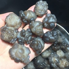 1000g 50pcs Natural Bonsai Suiseki-Gobi Agate panda Eyes Stone-Rare Stunning 01 picture