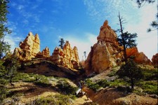 c1970's 35mm Slide, Bryce Canyon National Park Hoodoos Utah American Landscape picture