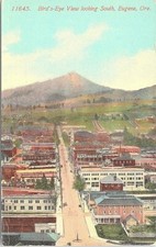 Lithograph Eugene OR Birdseye View Looking South early 1900s picture