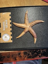Mutiny on the  Bounty, Pitcairn Island Descendent- Carol Christian WOOD CARVING picture