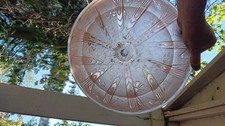 MULLER FRERES LUNEVILLE ANTIQUE ART DECO BUTTERFLY HANGING LAMP  picture