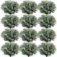 Janinka Mixed Eucalyptus Leaves Stems 60 Pcs White Seeds Silver Dollar for picture