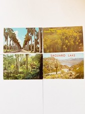 Lot of 4 Vintage Unposted Postcards FL KY AZ Scenic Chrome Multi-State picture