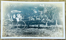Vintage RPPC Horse and Buggy Bee Lucy Jessie Stickley Named Family AZO 1910s picture
