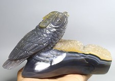 3.21lb Natural Agate Geode Quartz Crystal Owl Statue Manual Carving Healing picture