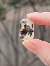 Large Shazar Dendrite / Dendritic Agate Polished Cabochon Rare 18mm 3 picture