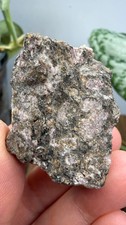 Rhodolite Garnet in Mica Schist- Cowee Valley, Macon County, North Carolina, USA picture
