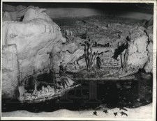 1934 Press Photo 