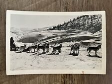 Dog Sled Team & Musher - Huskies - Antique Real Photo Postcard - RPPC picture