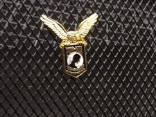 P.O.W. Prisoner Of War GOLDEN EAGLE WINGS Lapel Hat Pin Brand New  picture