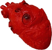 Soft Latex LIFE SIZE FAKE HUMAN HEART Gory Body Part Scary Halloween Horror Prop picture