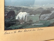 Vtg Dartmoor Ponies Moorland Photo Print Michael H Black 40x31cm Devon Art VGC picture