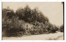 Sharon Massachusetts circa 1900s Stone Wall Roadside Woods Standard Postcard picture