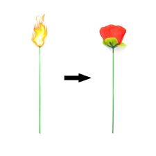 10pcs Torch to Rose Fire Magic Trick Flame Appearing Flower（out of stock ） picture