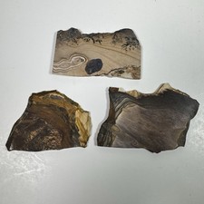 Biggs Jasper Oregon Rough Slabs 3 Pc Lot Lapidary Cutting Polishing Stone picture