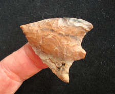 Super Rare BATWING HILLSBOROUGH Deep South Arrowhead  ~90~ picture