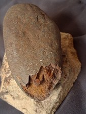 Oviraptor Raptor Dinosaur Egg Fossil Elongatoolithidea picture