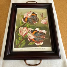 VTG Wood Handled Tray Glass Top Rubber Feet 17 X 13 Changeable Print Butterflies picture